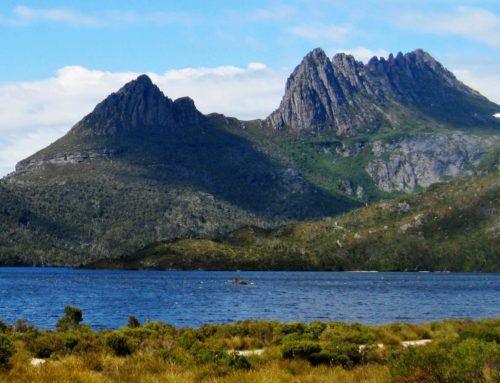 Cradle Mountain ja Tasmanian tuholainen