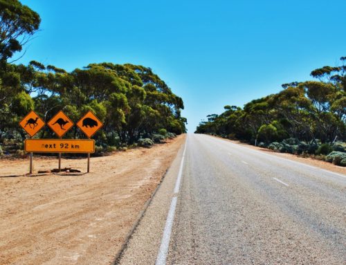 Nullarborin erämaan yli