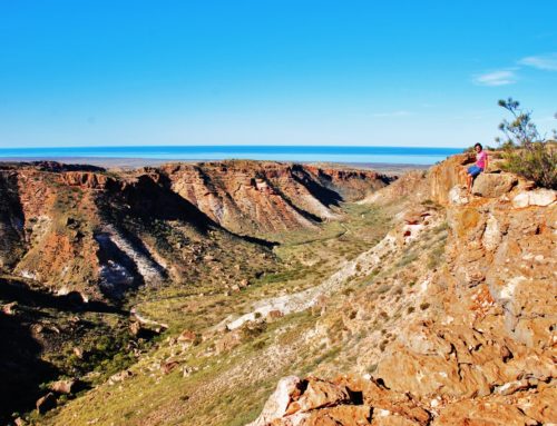 Mikä-Mikä-Maassa Australian Outbackissä
