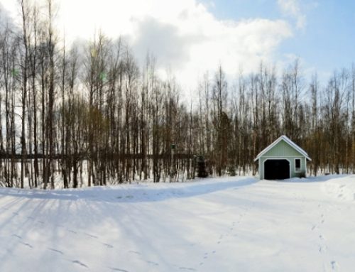 Suomi australialaisen silmin, osa 2