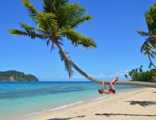 Paradise Cove, Fidzin paratiisipoukama