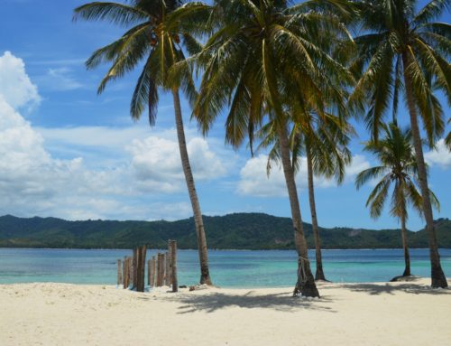 Taon matkassa Coronilta Palawanille, osa V