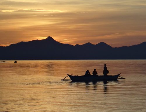 Chillailua Palawanilla: El Nido