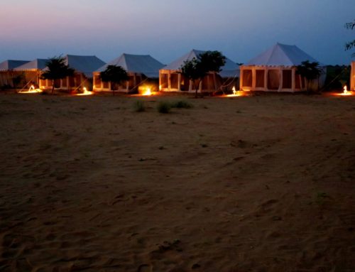 Luksustelttailua ja kamelisafari Jaisalmerin aavikolla