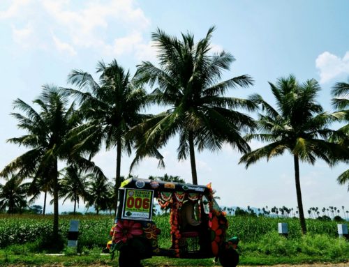 Riksaralli Intiassa, osa 2