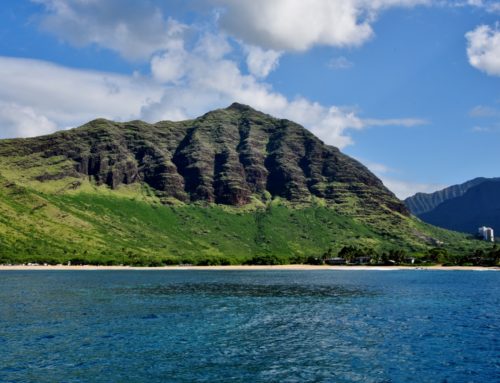 Aamu-uinti delfiinien kanssa Havaijilla