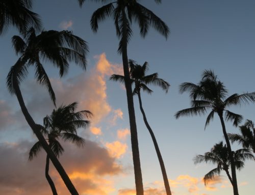 Pikavisiitti Honoluluun