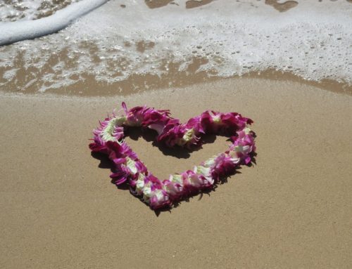 10 Matkavinkkiä Havaijille