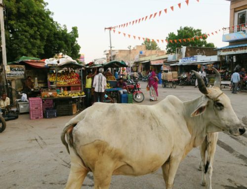 Omituisia matkakokemuksia