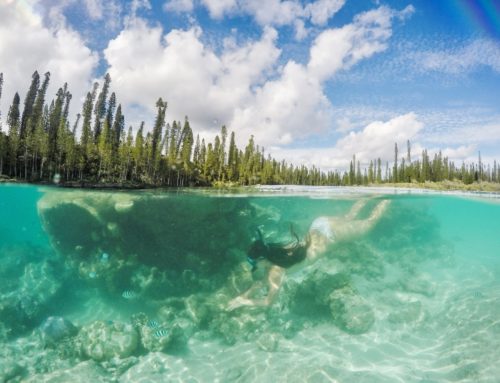 Isle of Pines – Pulikointia luonnon omassa uima-altaassa