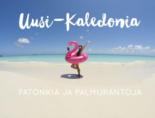 Uusi-Kaledonia – Patonkia ja palmurantoja