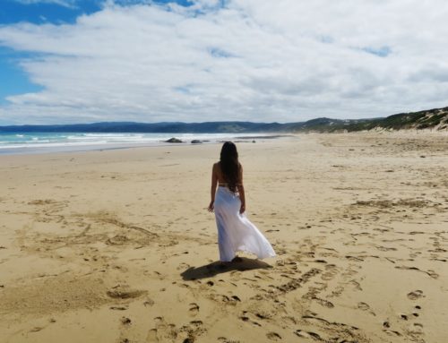 Vuoden 2016 tähtihetket