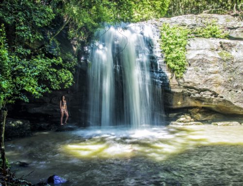 Salaisten aarteiden jäljillä Sunshine Coastilla