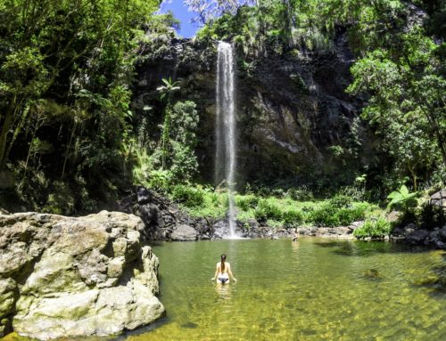 Queenslandin upein luontoreitti