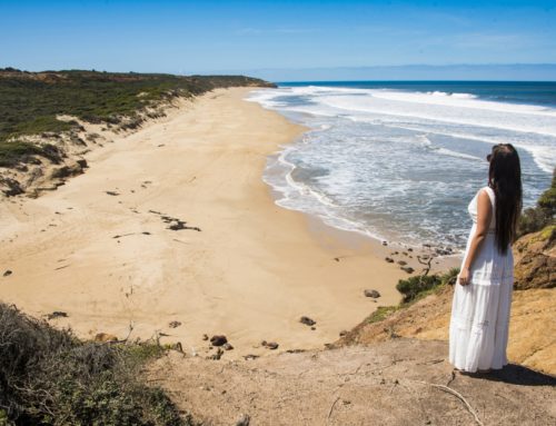 Viikonloppu Great Ocean Roadin jylhissä rantamaisemissa