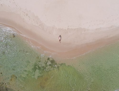 Rantapäivä Morningtonin niemimaalla