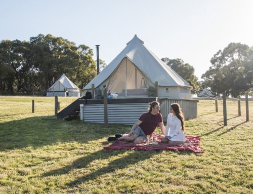 Telttailua tyylillä – Glamping-kokemus Australiassa