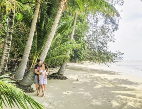 Lomakoomailua palmun alla Australian Port Douglasissa