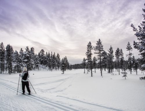 Porojen ja revontulien Saariselkä