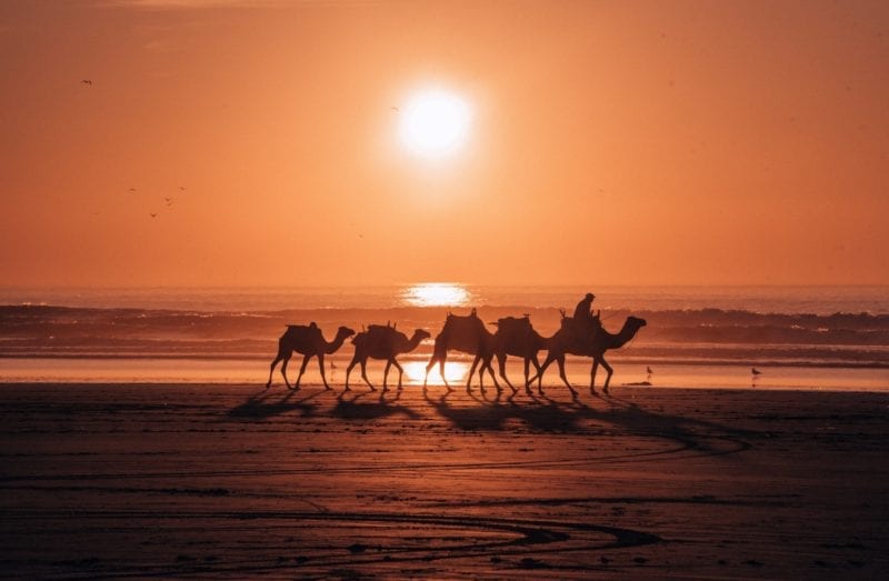 essaouira kokemuksia