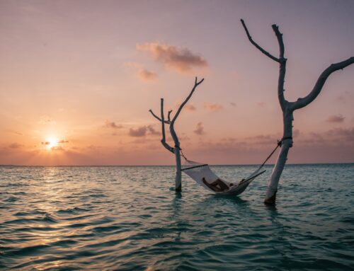 NOMADIELÄMÄN OPETUKSET x 13