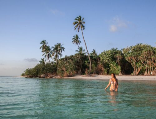 GOIDHOO – Rauhan ja luonnon rakastajan paikallissaari Malediiveilla